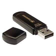 USB Флеш 4GB 2.0 Transcend TS4GJF350 черный